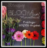 Scheepjes Bloom: 100% Baumwolle für größere Nadelstärken in bunten, fröhlichen Farben